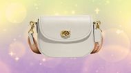 Willow Saddle Bag with Interchangeable Leather and Web Strap (Image via Macy’s)